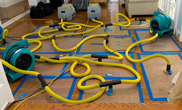 Professional Emergency Water Removal technician working in Arlington Heights, WA